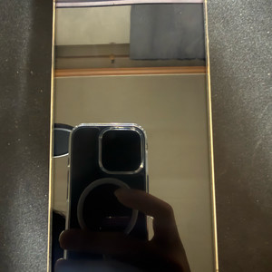 아이폰 14 프로맥스