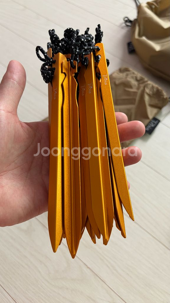 트로리 헥토르 듄(탄색상)--2