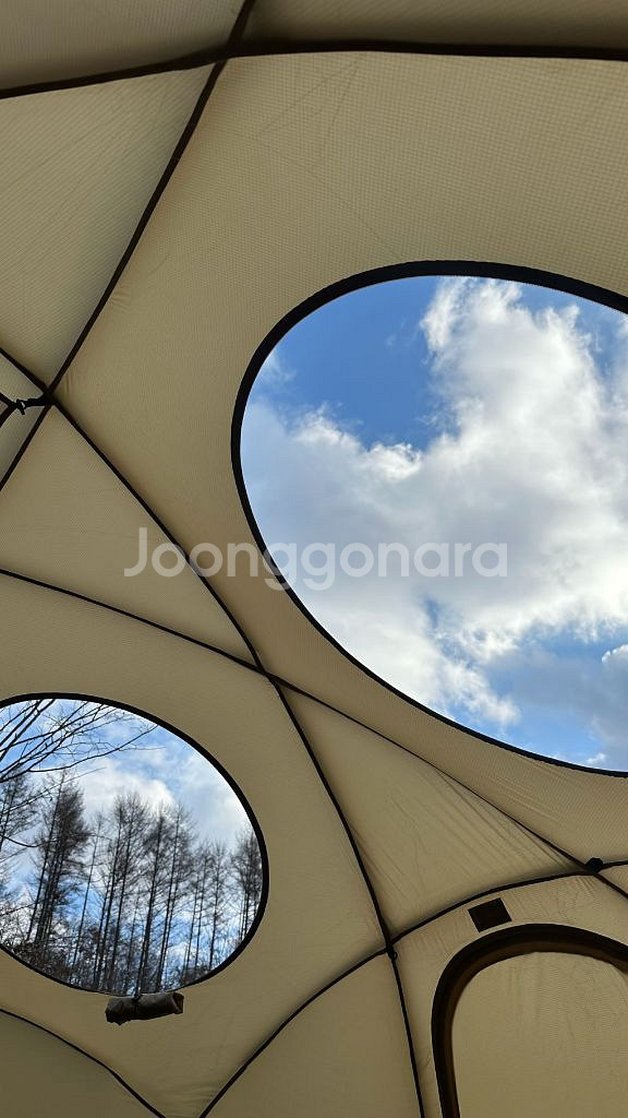 트로리 헥토르 듄(탄색상)--4