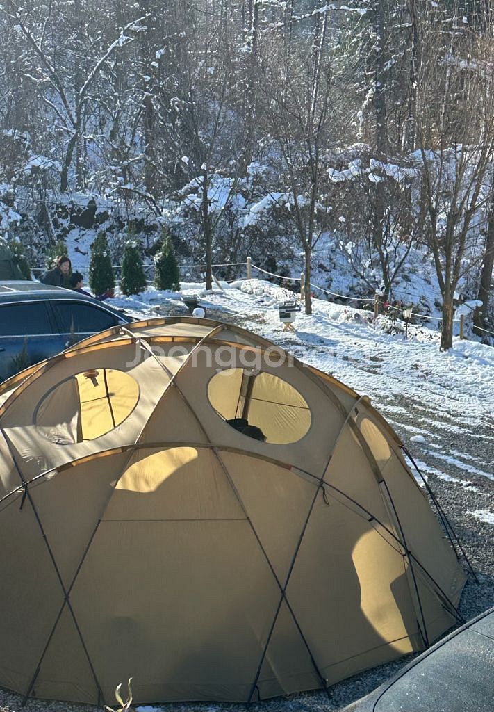 트로리 헥토르 듄(탄색상)--5