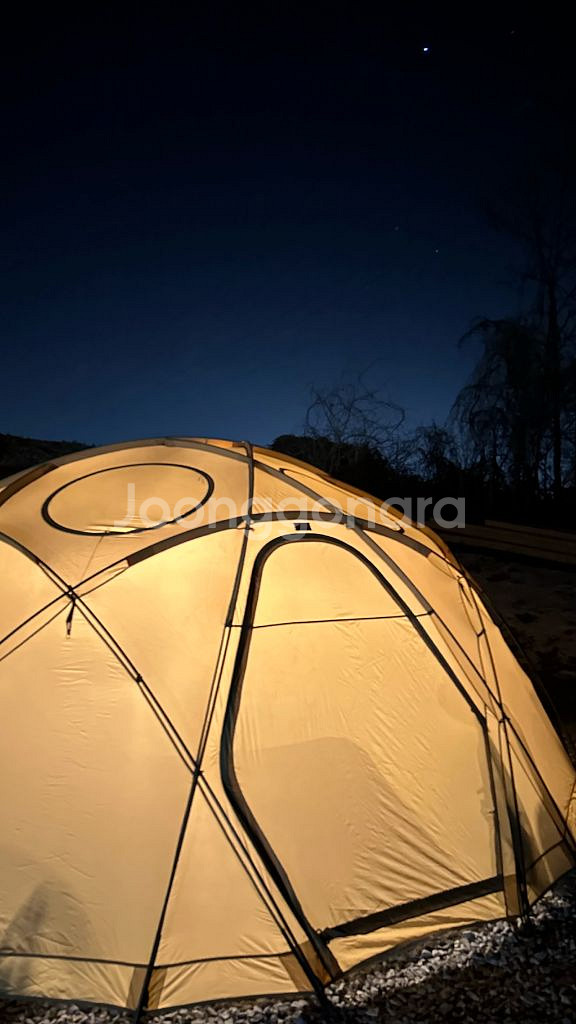 트로리 헥토르 듄(탄색상)--6