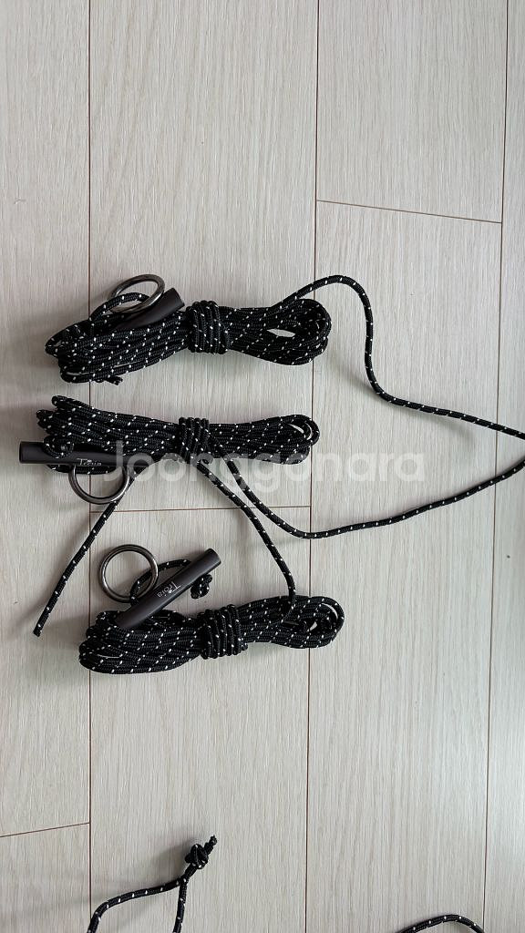 트로리 헥토르 듄(탄색상)--3