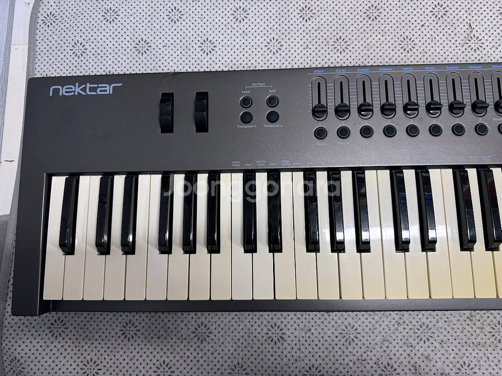 넥타 LX88+ 마스터건반 nektar impact L--2