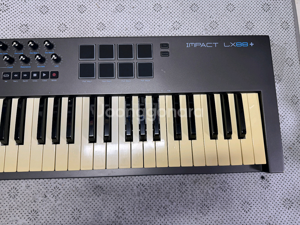 넥타 LX88+ 마스터건반 nektar impact L--1