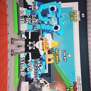 브훔 로스67