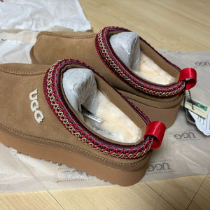 어그 시드니 플랫폼,타스만(체스트넛)새상품