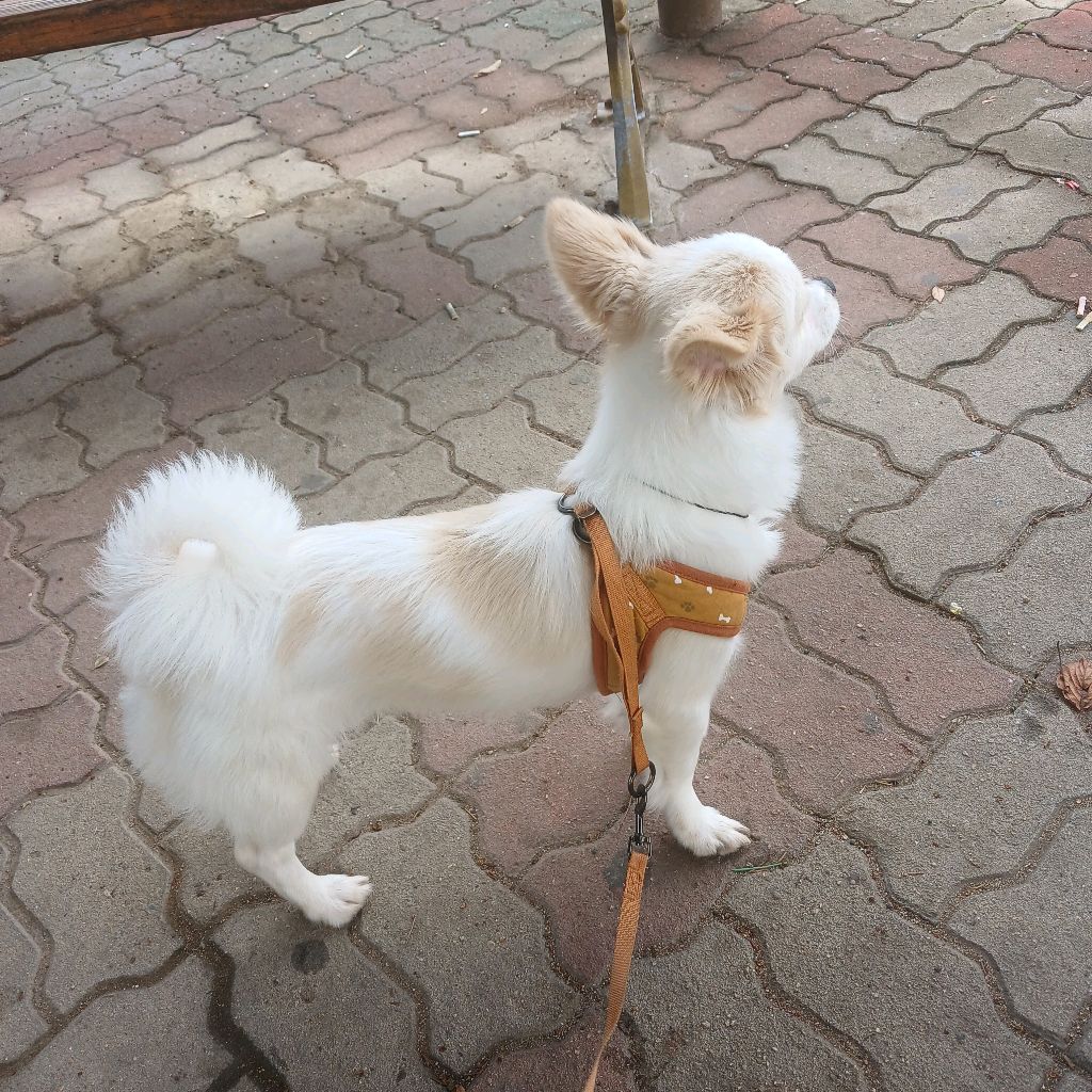 profile-image