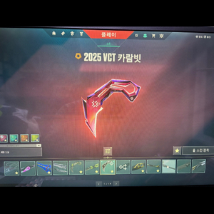 발로란트 굿즈 팝니다 (초고스펙)