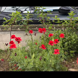 돈 두달만 빌ㄹ ㅕ주실분있나요? 2자는 많이드리겠습니다