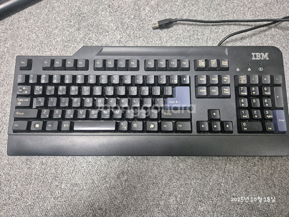 IBMSK8825 유선 키보드--0