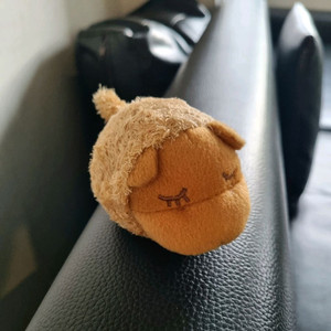 귀여운 인형 / 양 인형