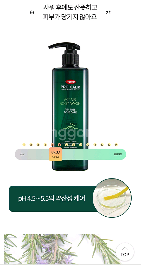 한미약품 프로캄 티트리 클렌징 세트 폼클렌저, 바디워시--7