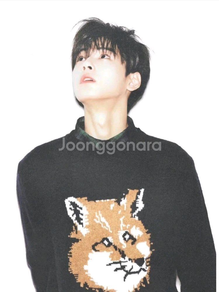 (1회착용)메종키츠네 여성 빅폭스 헤드 니트 스웨터--2