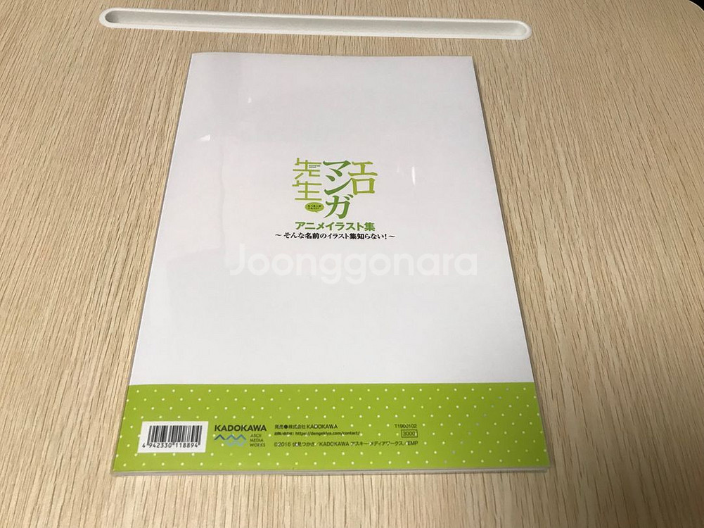 라노벨 애니 에로망가 선생 공식 일러스트집 아트북 화집--2