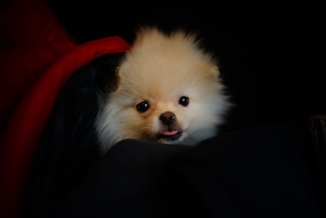 profile-image