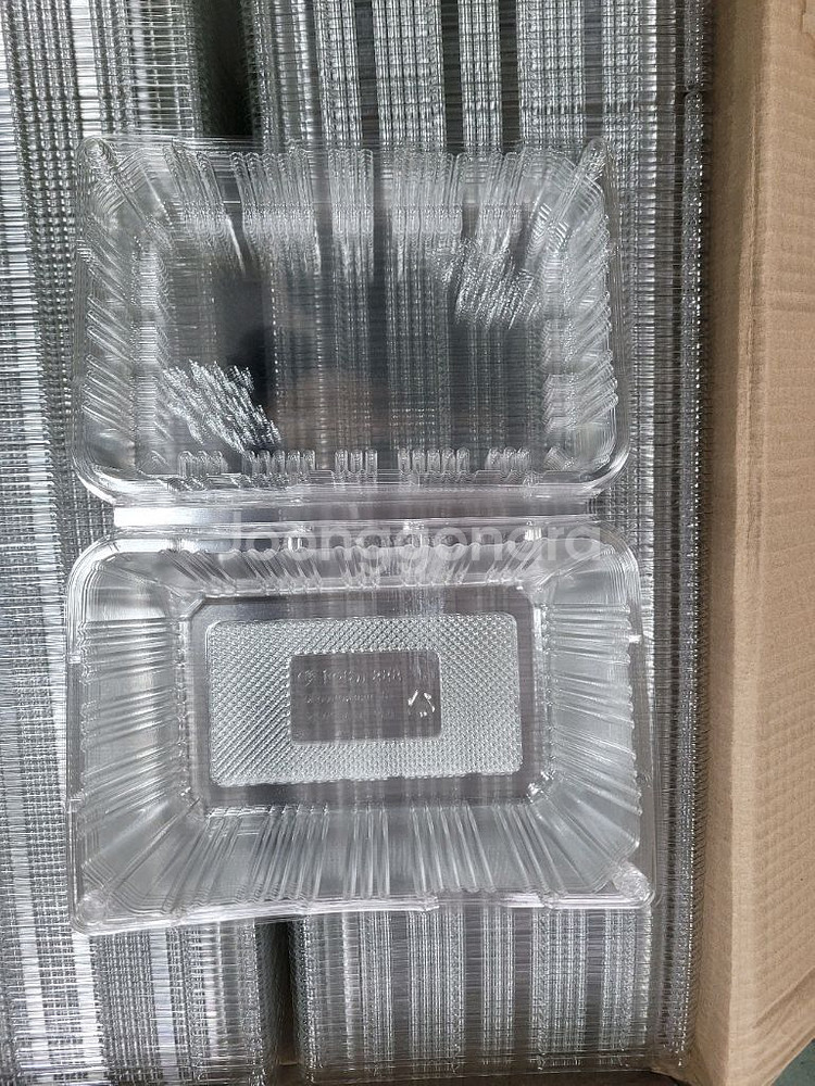 투명 플라스틱 과일 포장 용기--5