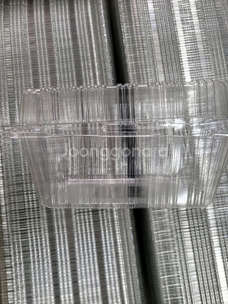 투명 플라스틱 과일 포장 용기--6