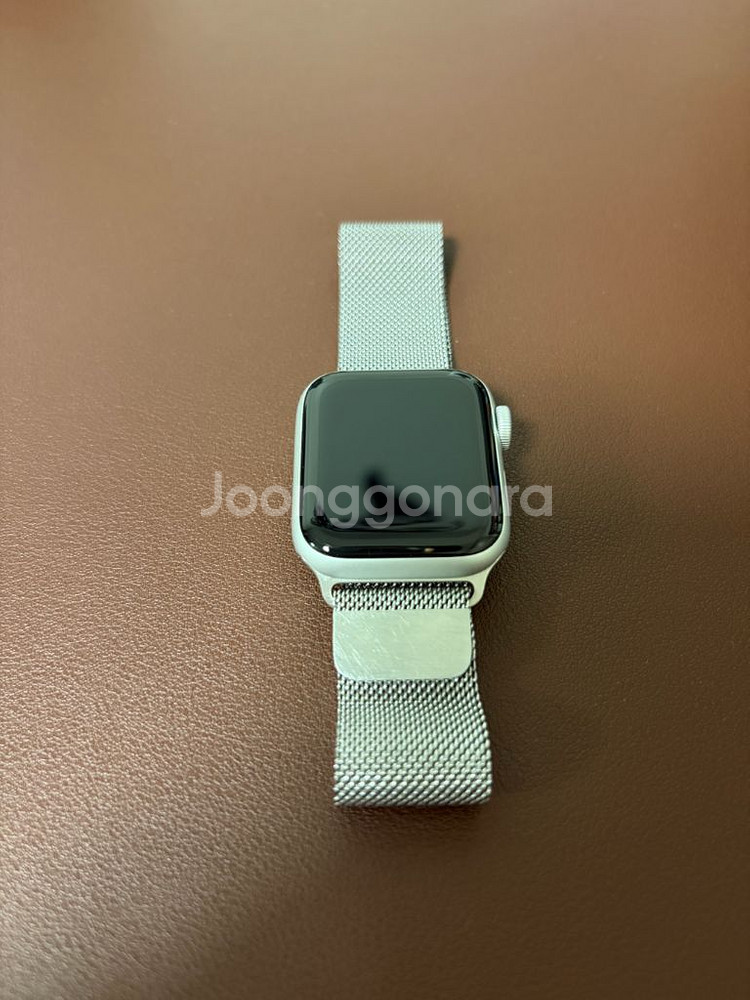 애플워치 SE 40mm + 정품 밀레니즈 루프--0