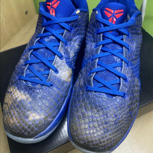 [260]코비6 ASG East LA