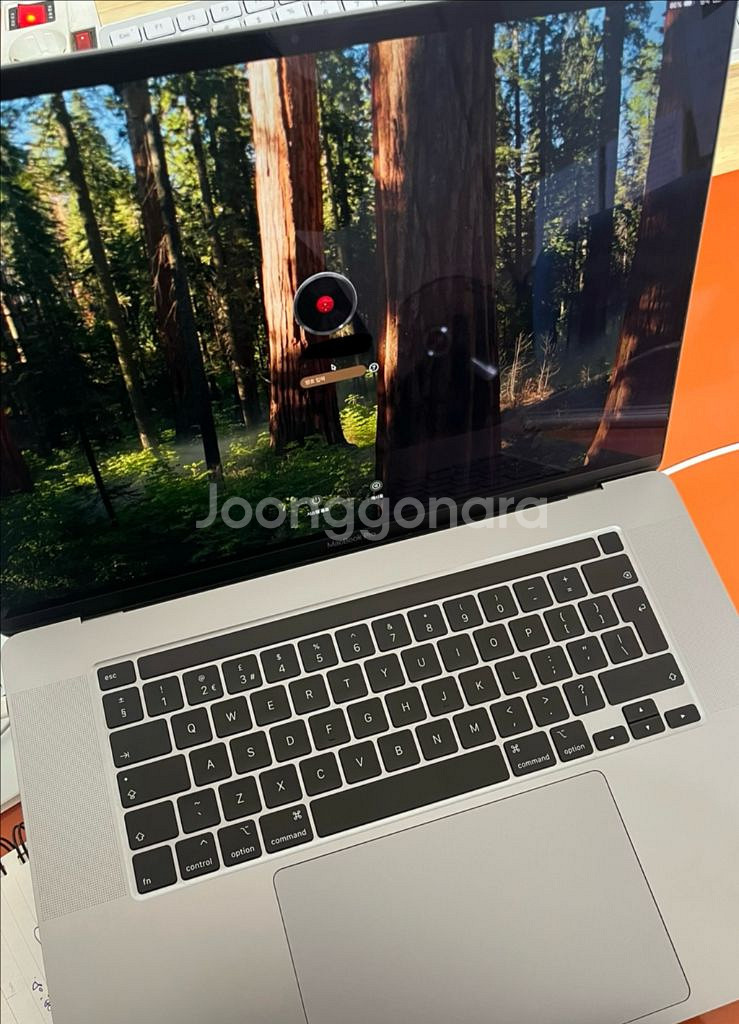 맥북 프로 2019 16인치, 메모리32GB, 1TB--1