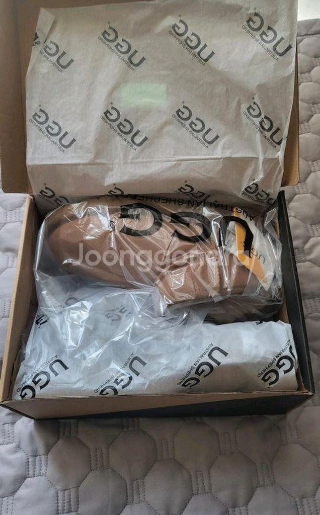 호주어그 울트라미니클래식 eu40 255새상품--2