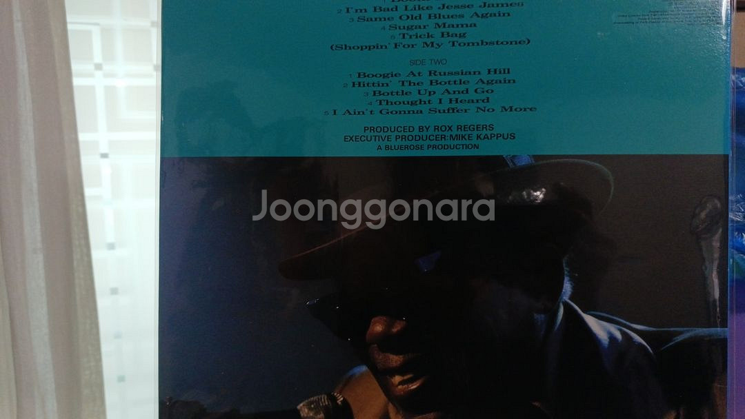 존리후커 LP--1