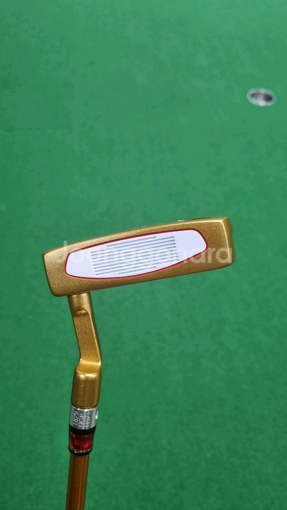 1879 퍼터입니다.--4