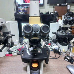 3안CCD생물현미경 NIKON ECLIPSE E200 이미지