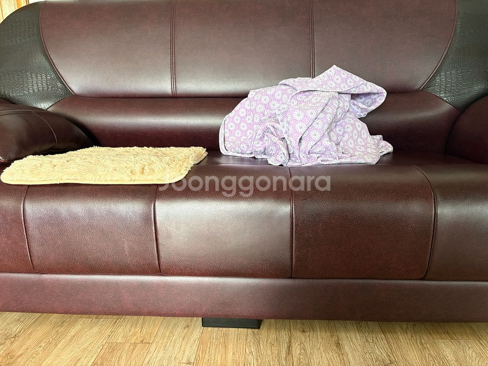 가죽 쇼파--1