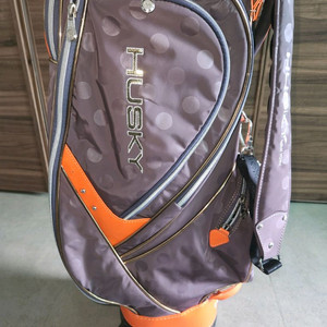 허스키 바뀌형 여성 곫프백 보스톤백