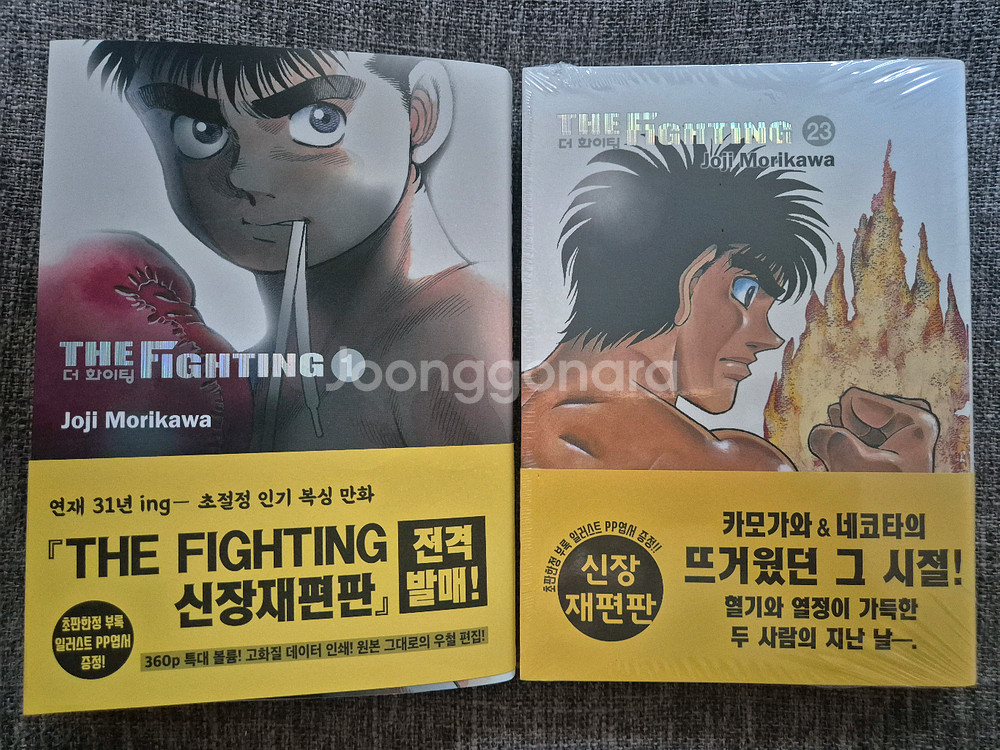 더파이팅 더화이팅 신장재편판 만화책 팝니다--0