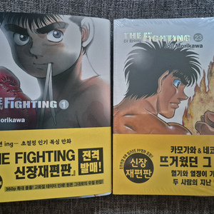 더파이팅 더화이팅 신장재편판 만화책 팝니다