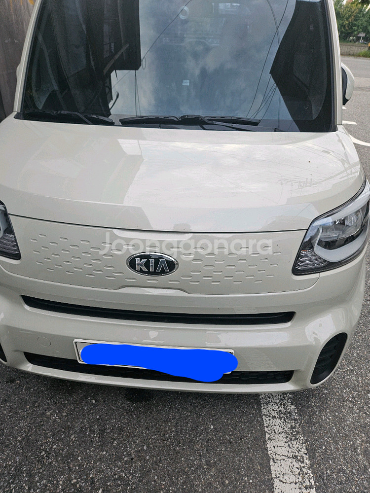 기아레이--0
