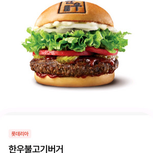 롯데리아 한우불고기버거 단품 팔아요.