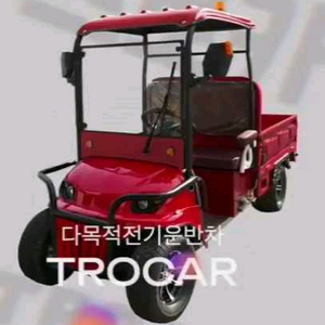국가가 승인한 다목적 여성 친환경 전기 운반차 [뜨로카
