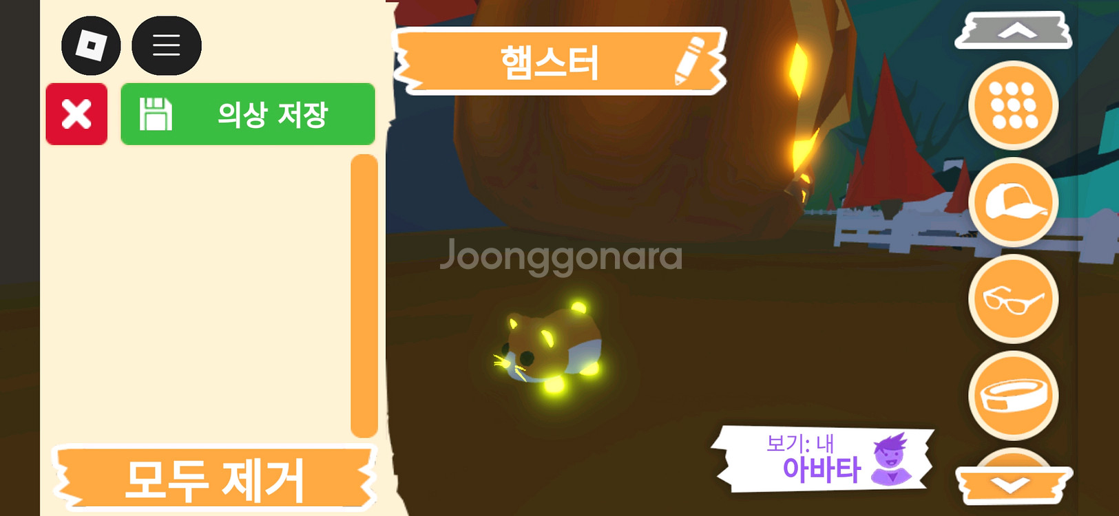 입양하세요 펫 메가네온 햄스터 판매합니다--2