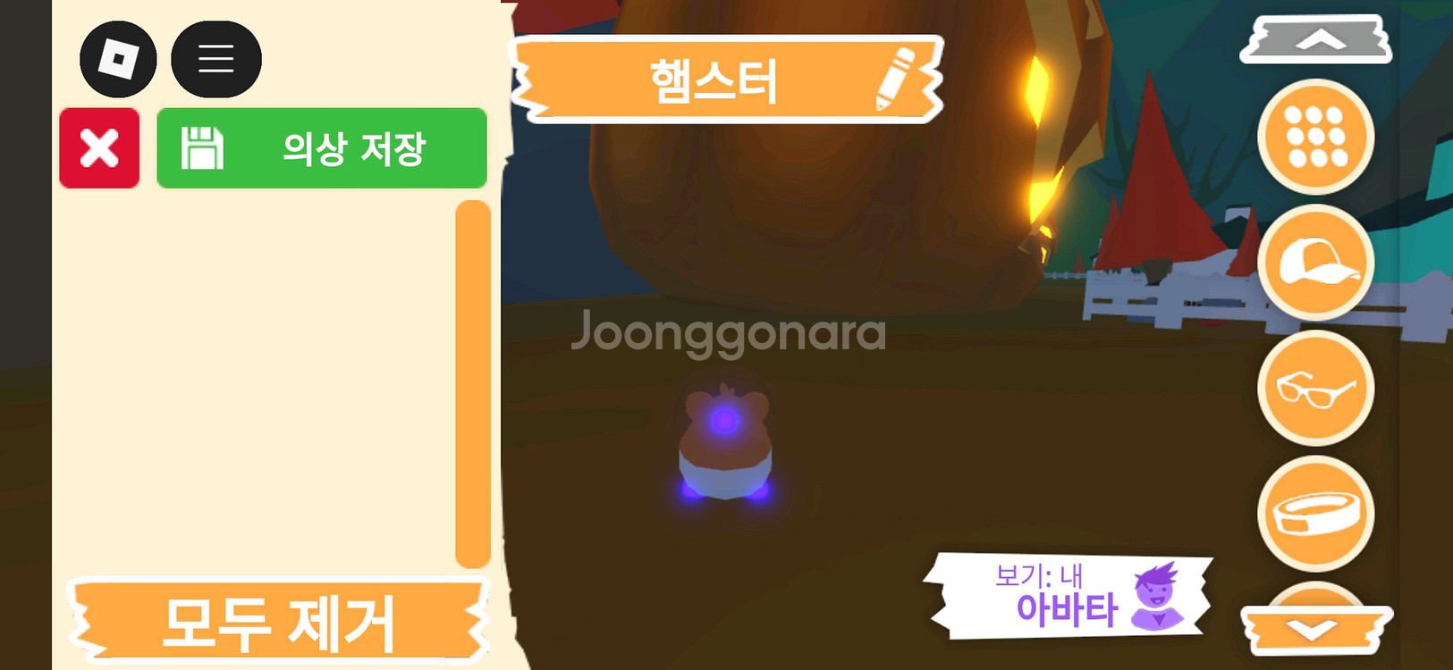 입양하세요 펫 메가네온 햄스터 판매합니다--3