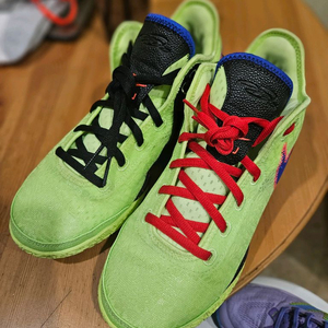 농구화 르브론 넥젠 280 중고팝니다.