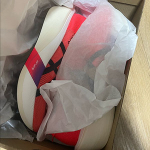 아식스 메타스피드 엣지 도쿄 260