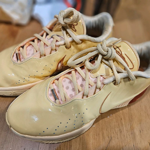 농구화 르브론21 280 중고팝니다.