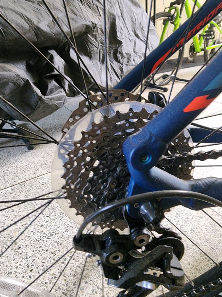 메리다빅세븐 500 Msize--2