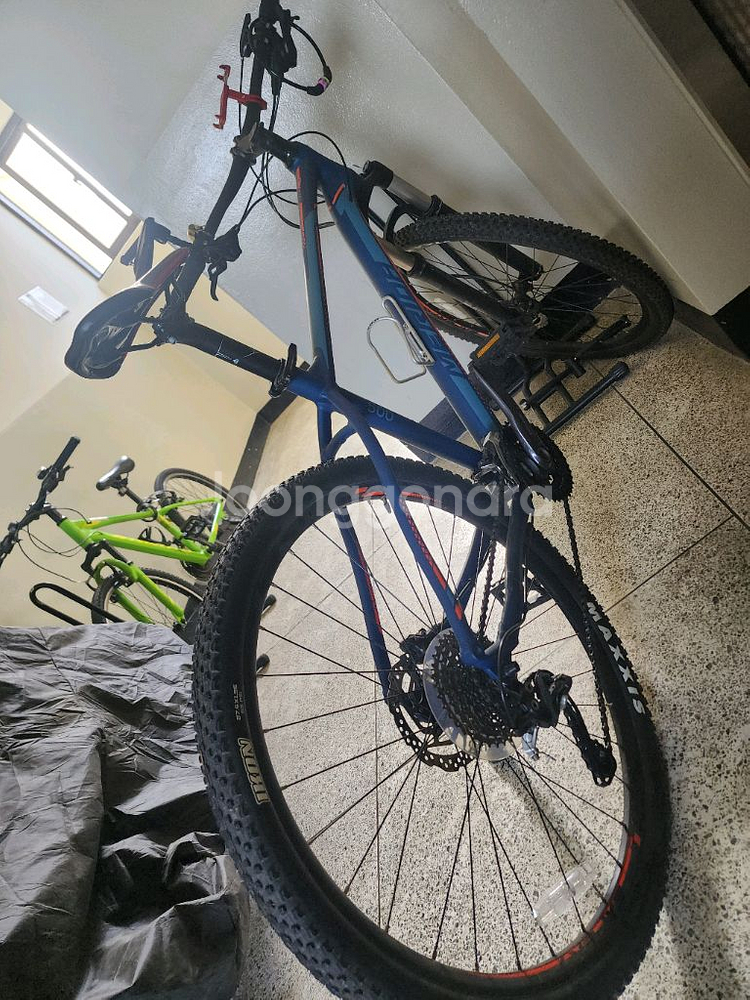 메리다빅세븐 500 Msize--1