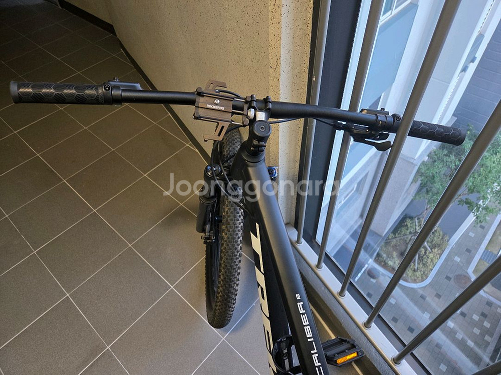 트렉 엑스칼리버8--1