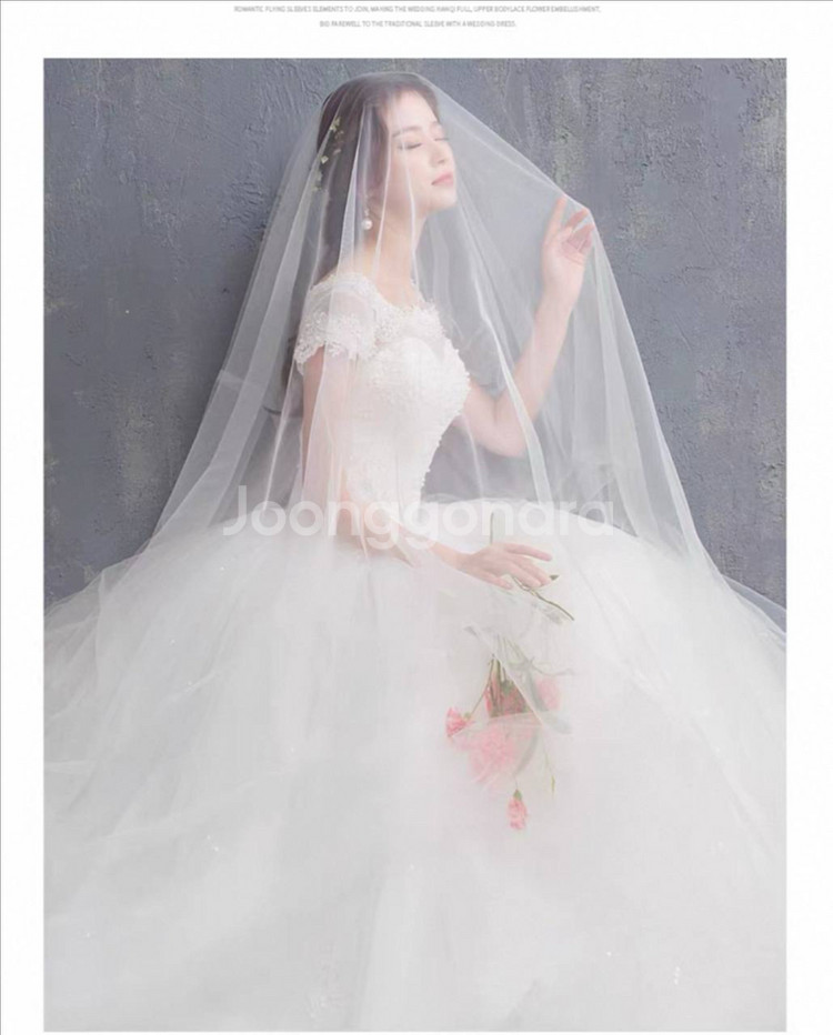 웨딩드레스 볼드라인 XL--5