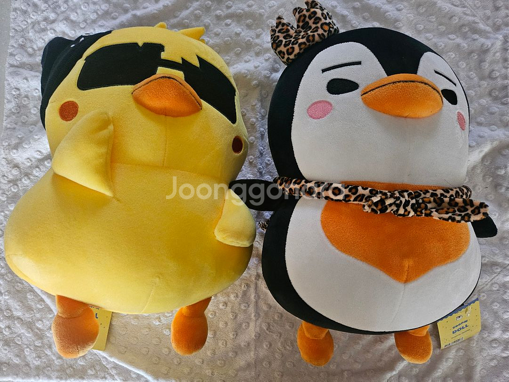 2PM 투피엠 이준호 펭펭 장우영 Pi Young--0