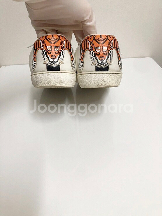 (250사이즈)구찌 정품 에이스 타이거 패치 삼선 스니--3