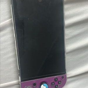 닌텐도 OLED