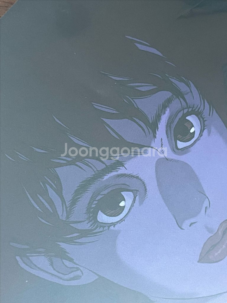 퍼펙트블루 더블 아트그라피 포스터 2종 곤사토시 굿즈--2