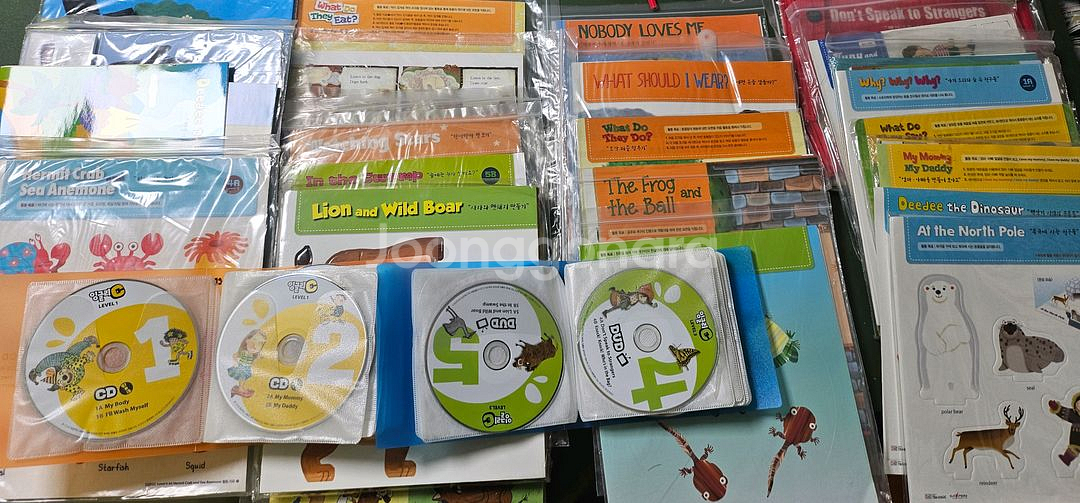 잉글리C 풀세트 CD DVD 활동지 포함--5