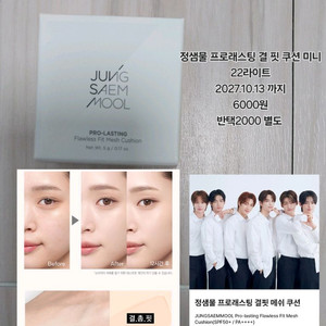 정샘물 프로래스팅 결 핏 쿠션 22라이트